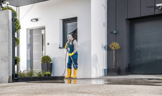 Best Pre-Holiday Cleaning  in Toledo, IA